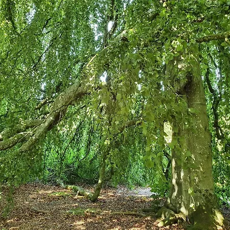 Panoramic Fjord Retreat With Bath Сasa de vacaciones