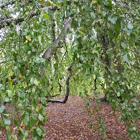Panoramic Fjord Retreat With Bath *