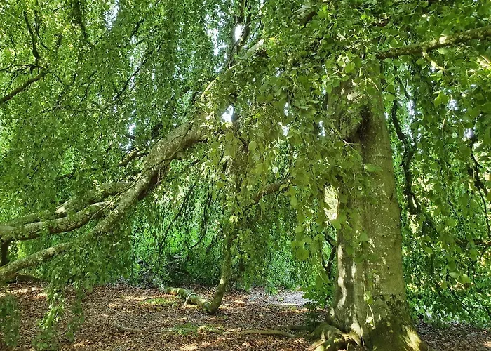 Panoramic Fjord Retreat With Bath Ferienhaus